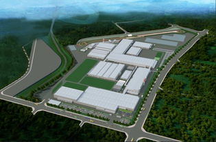 品牌獨立 多元發展 長城皮卡2020年沖擊20萬輛目標的戰略布局